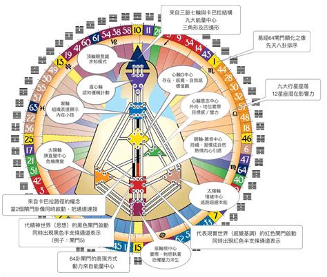 人類圖分析怎麼看|人類圖解析｜一文看懂人類圖是什麼？人格類型、人生 